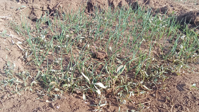 How the basins are looking like today